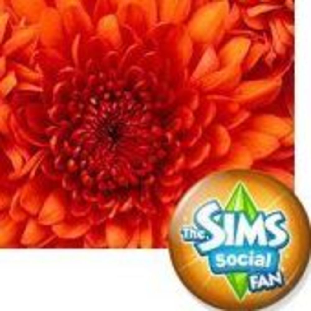 Meet your Posher, K elle